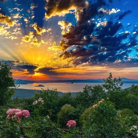 Bixio40 And Bed & Breakfast Montefiascone